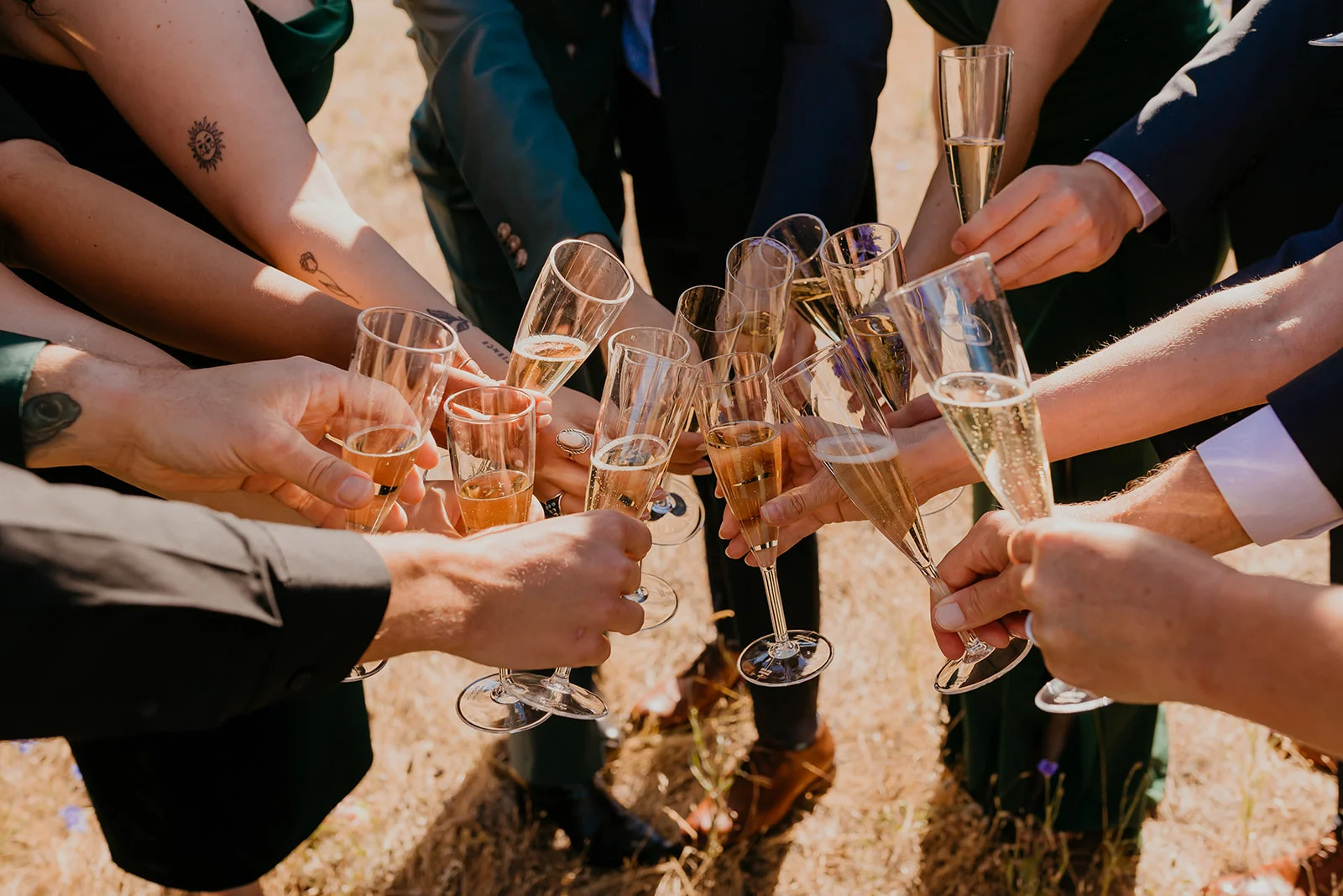 Wedding guests clink champagne flutes in a group toast outdoors at Mayer State Park in Mosier, OR.