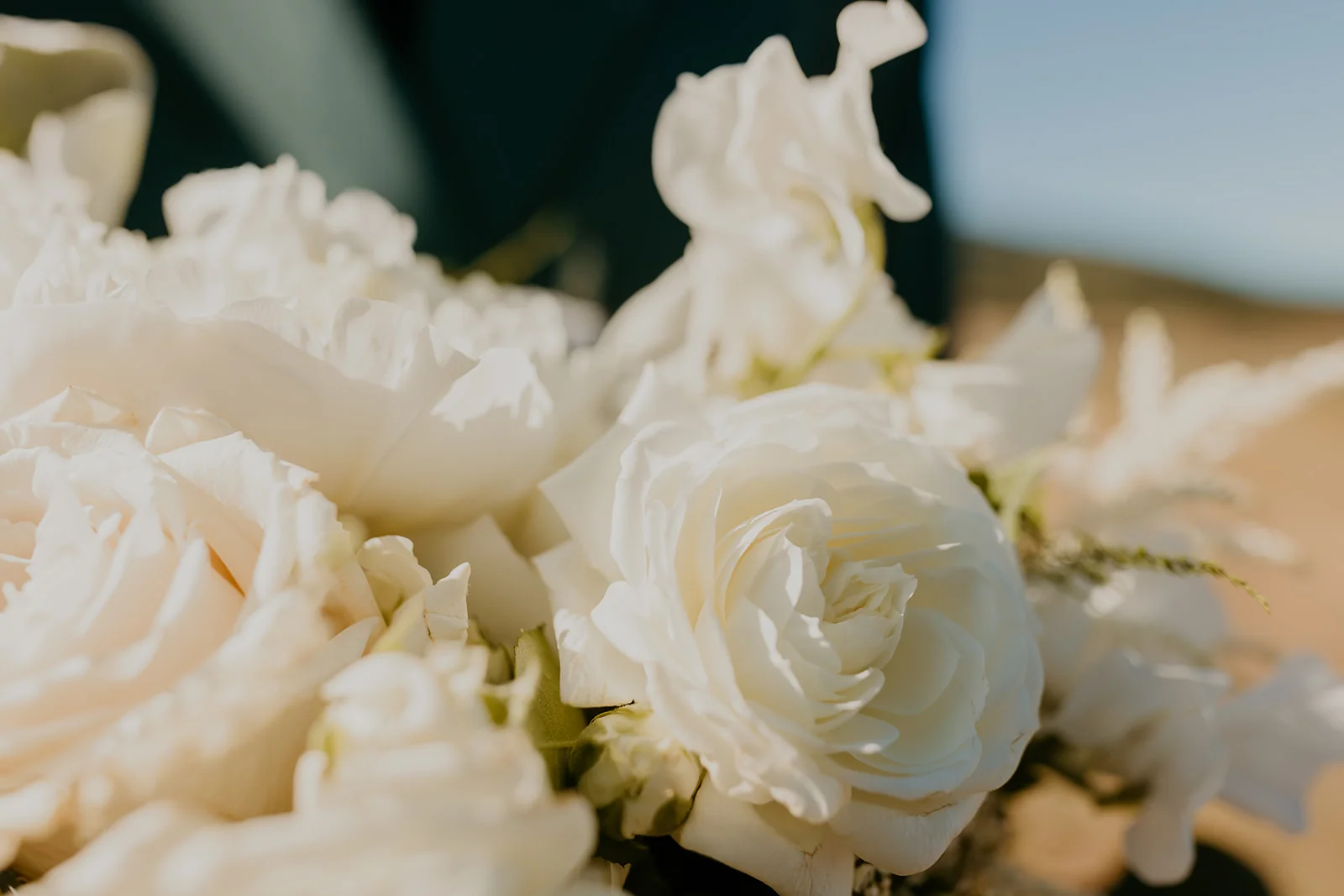 Lush white roses and peonies arranged in a floral display at Ben and Nolan's wedding at Mayer State Park.