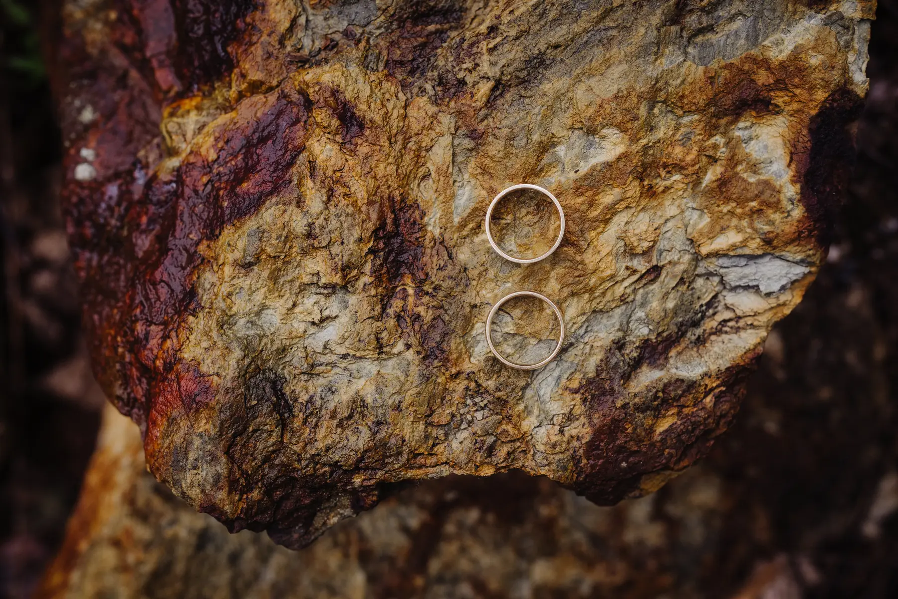 Two gold wedding bands rest on a textured, rust-toned rock at The Hillside Lodge & Chalets in Golden, BC.