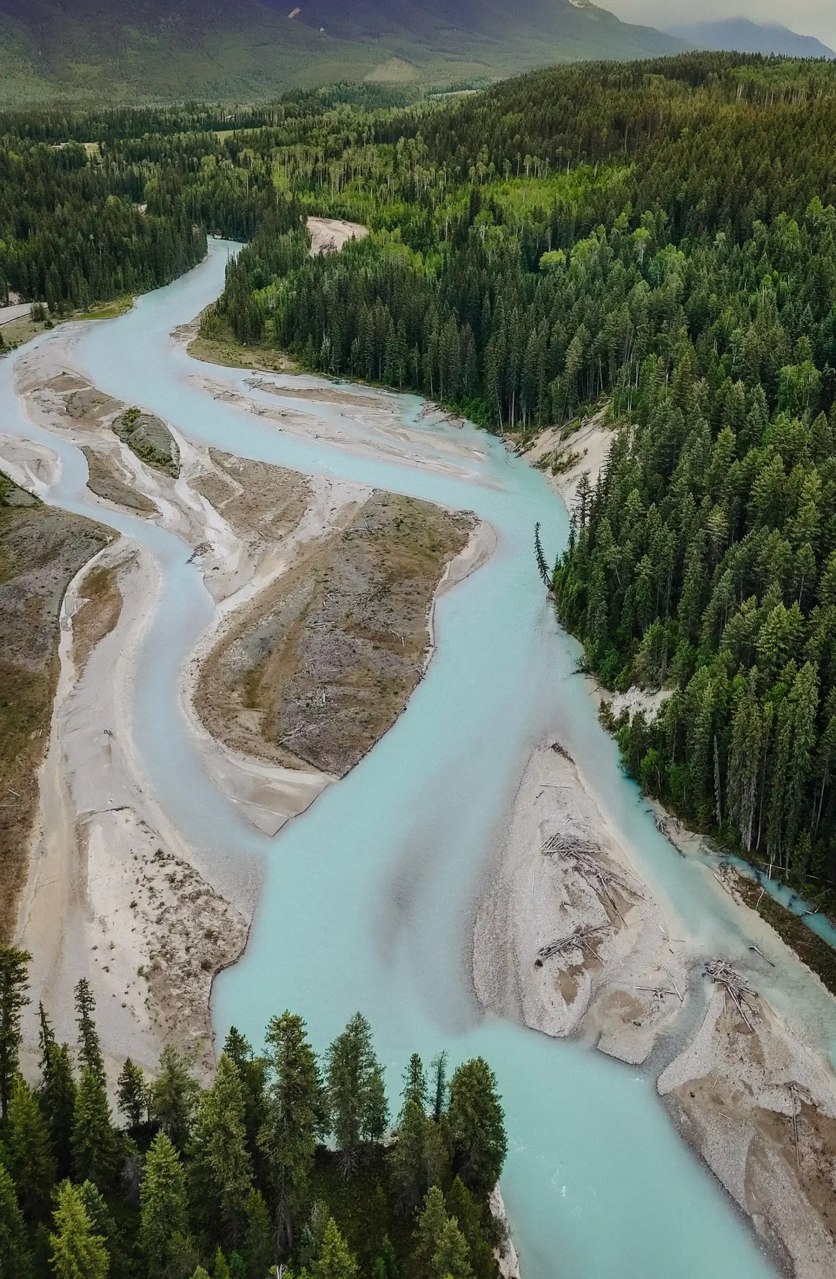 Aerial view of a glacial turquoise river winding through evergreen forests near The Hillside Lodge & Chalets in Golden, BC.