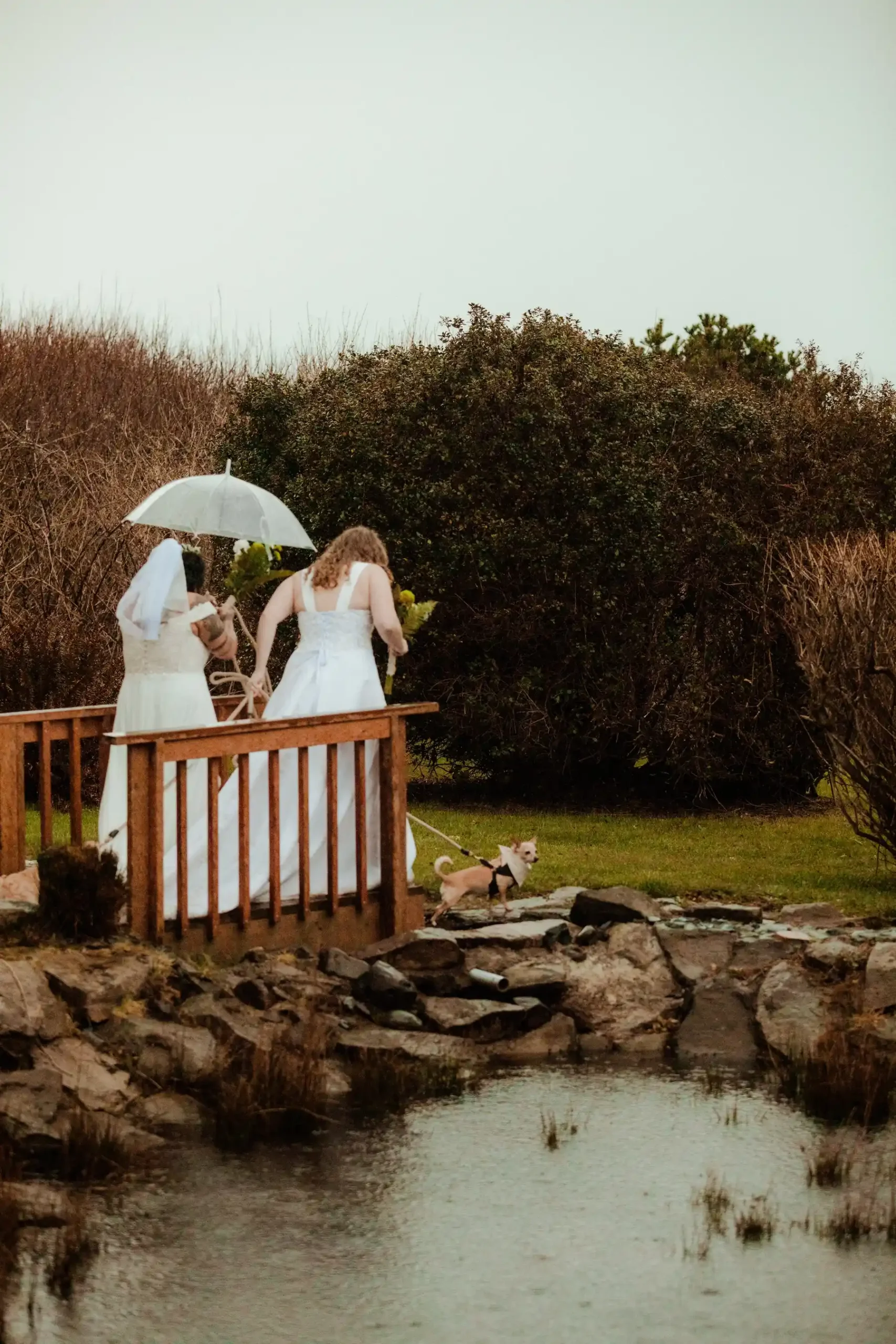Brides Rachel and Jamie Snow walk with their small dog on a wooden bridge at Yachats Inn in Oregon on a rainy day.