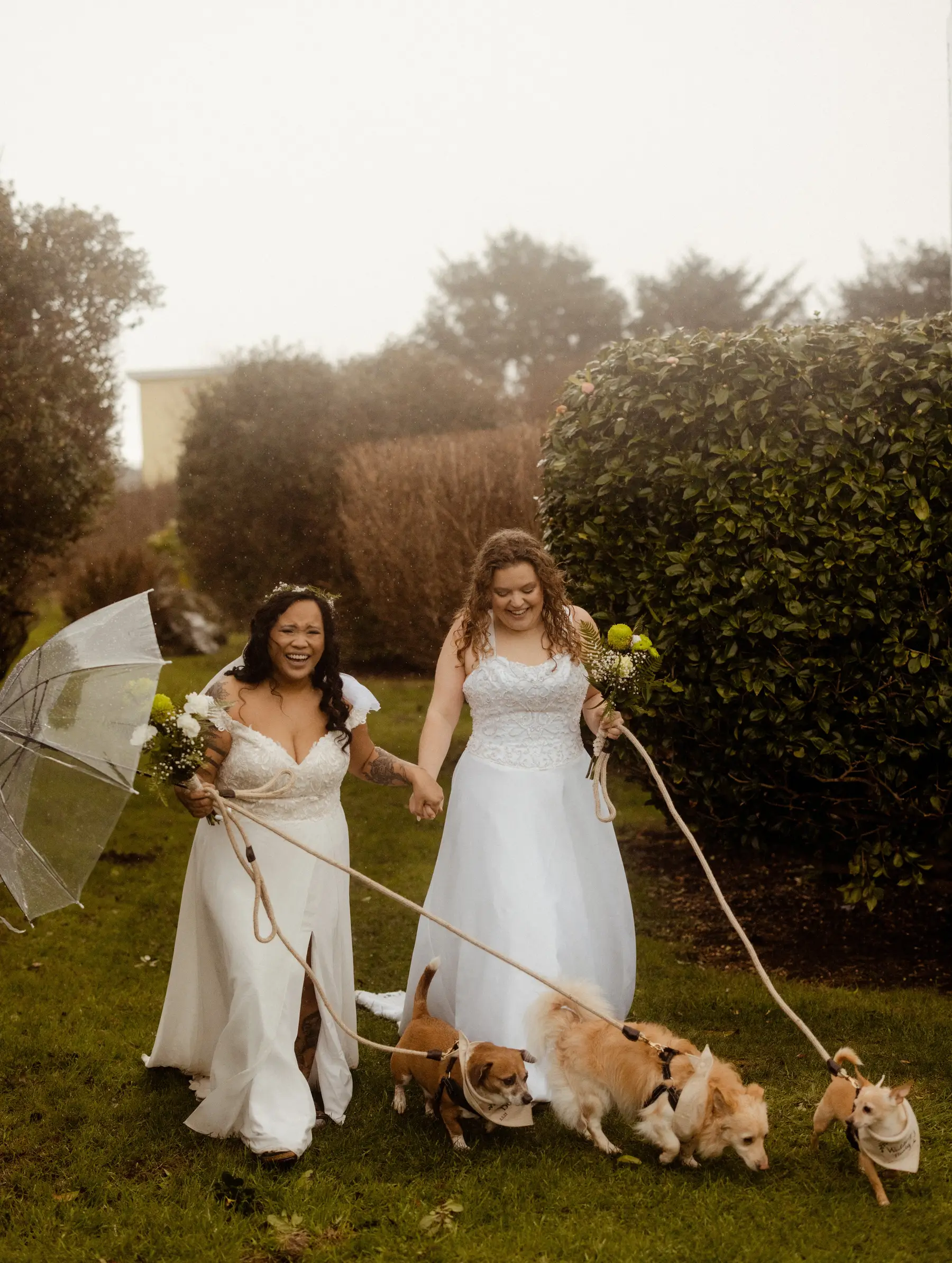 Brides Rachel and Jamie Snow laugh while walking three dogs on leashes in the rain at Yachats Inn, Oregon.