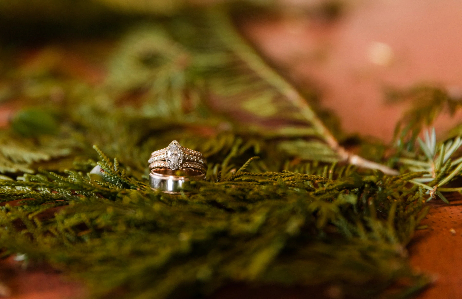 Wedding rings stacked on green moss at Yachats Inn for Rachel and Jamie Snow's LGBTQ+ wedding in Yachats, Oregon.