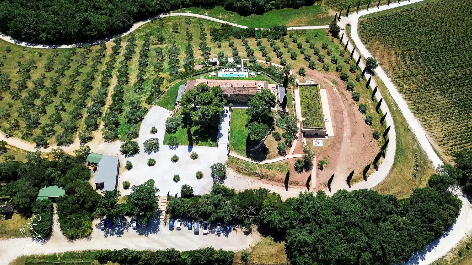 Aerial drone view of Conti di San Bonifacio wine resort in Tuscany, Italy, with olive groves, vineyards, and a pool.