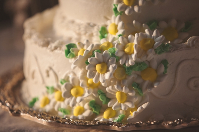 bonar-nicki-hufford-photography-chuppah-farm-lesbian-wedding-cake