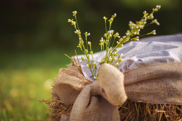 bonar-nicki-hufford-photography-chuppah-farm-lesbian-wedding-haybale-seat-burlap-bow