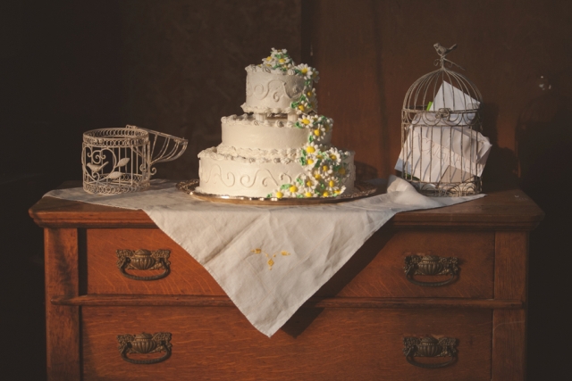 bonar-nicki-hufford-photography-chuppah-farm-lesbian-wedding-yellow-flowers-wedding-cake-bird-cage-letters