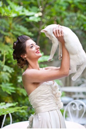 cats-at-weddings-gay-wedding-planning