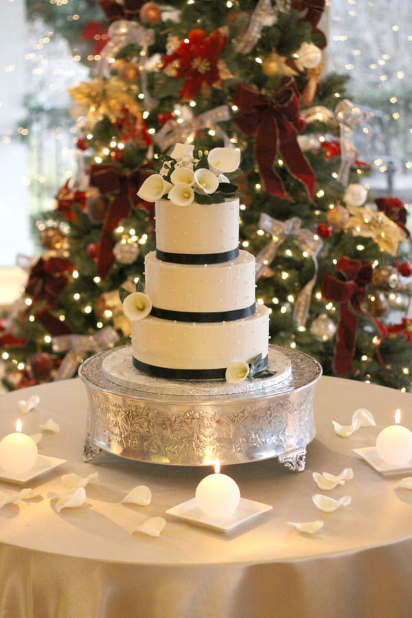 christmas-lights-winter-wedding-cake