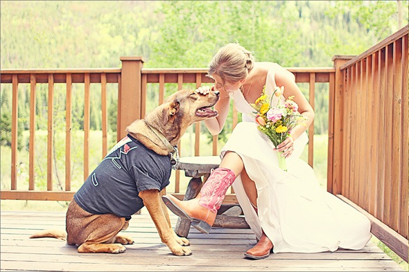 dog-at-wedding-gay-wedding-planning