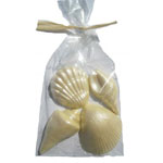 Favors and Gifts Seashell Bag