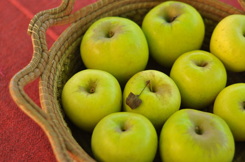 fitness-and-health-apples-in-basket-ariel-da-silva-parreira
