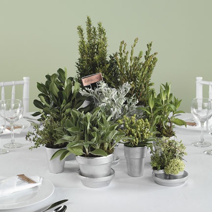 Herbs a Plenty! Unexpected Floral Inspiration for Your Wedding