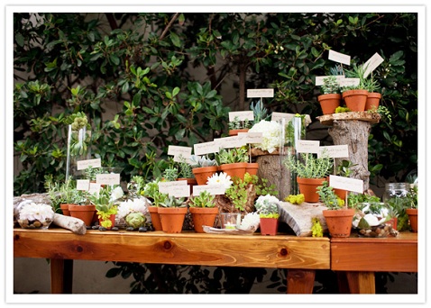 gay-wedding-floral-design-herbs-terra-cotta-pots
