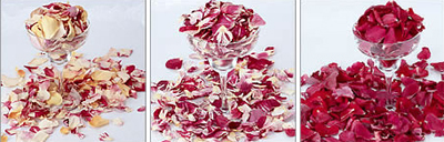 gay-weddings-planning-toss-ideas-freeze-dried-petals