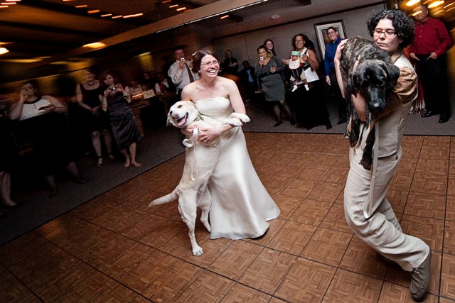 tammy-swales-studio-heather-robbie-nature-lesbian-wedding-dancing-with-dogs