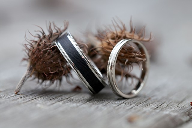 tammy-swales-studio-heather-robbie-nature-lesbian-wedding-outdoors-wedding-bands-ring-shot