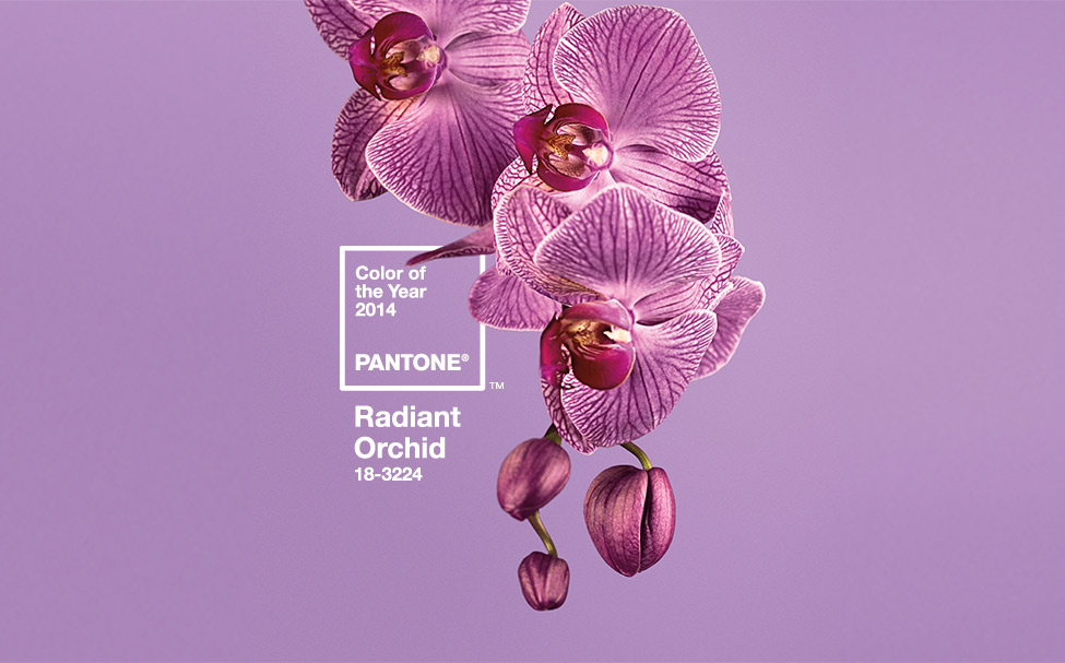 wedding-color-of-the-year-2014-purple-orchid-pantone