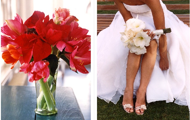 winter-wedding-flower-bouquet-amaryllis